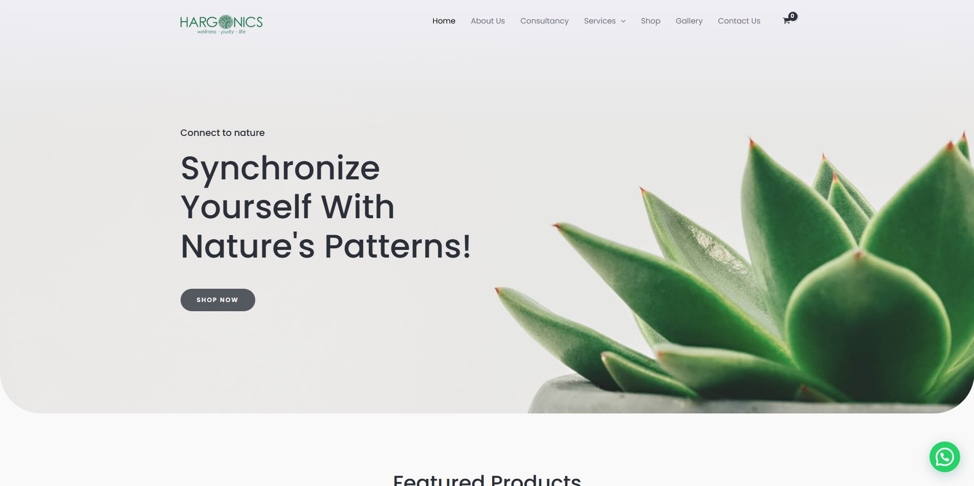 Hargonics website developed by AIOSoftech